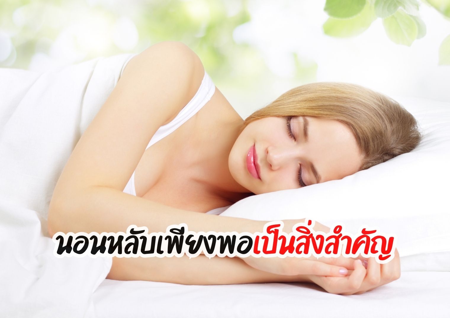 รูปภาพหน้าปก 3a1f87bc-9291-4946-8781-280ab4582cf3