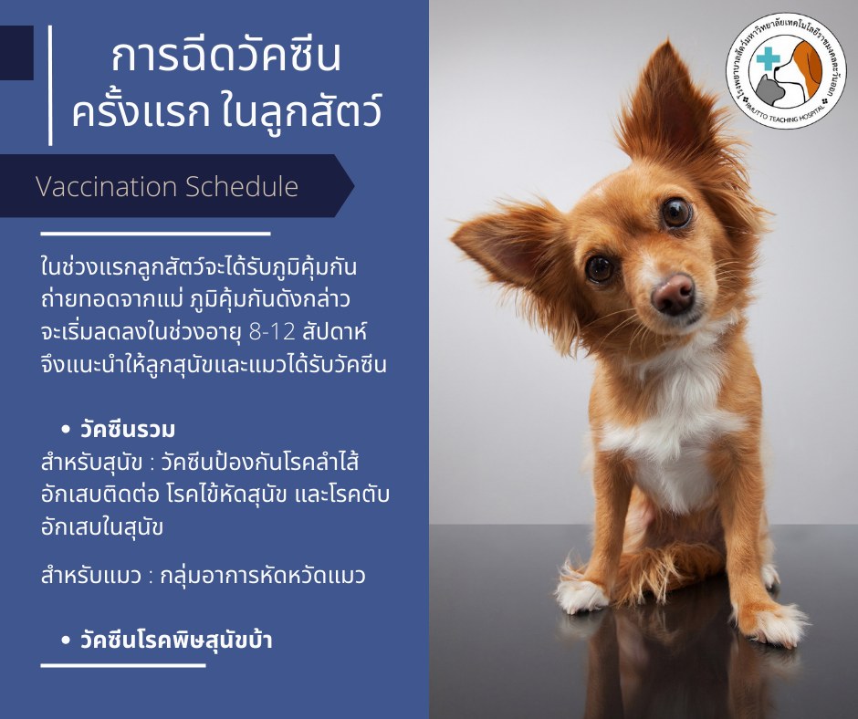 รูปภาพหน้าปก 5a704e68-de79-4f40-9444-2e9078ee1fe8