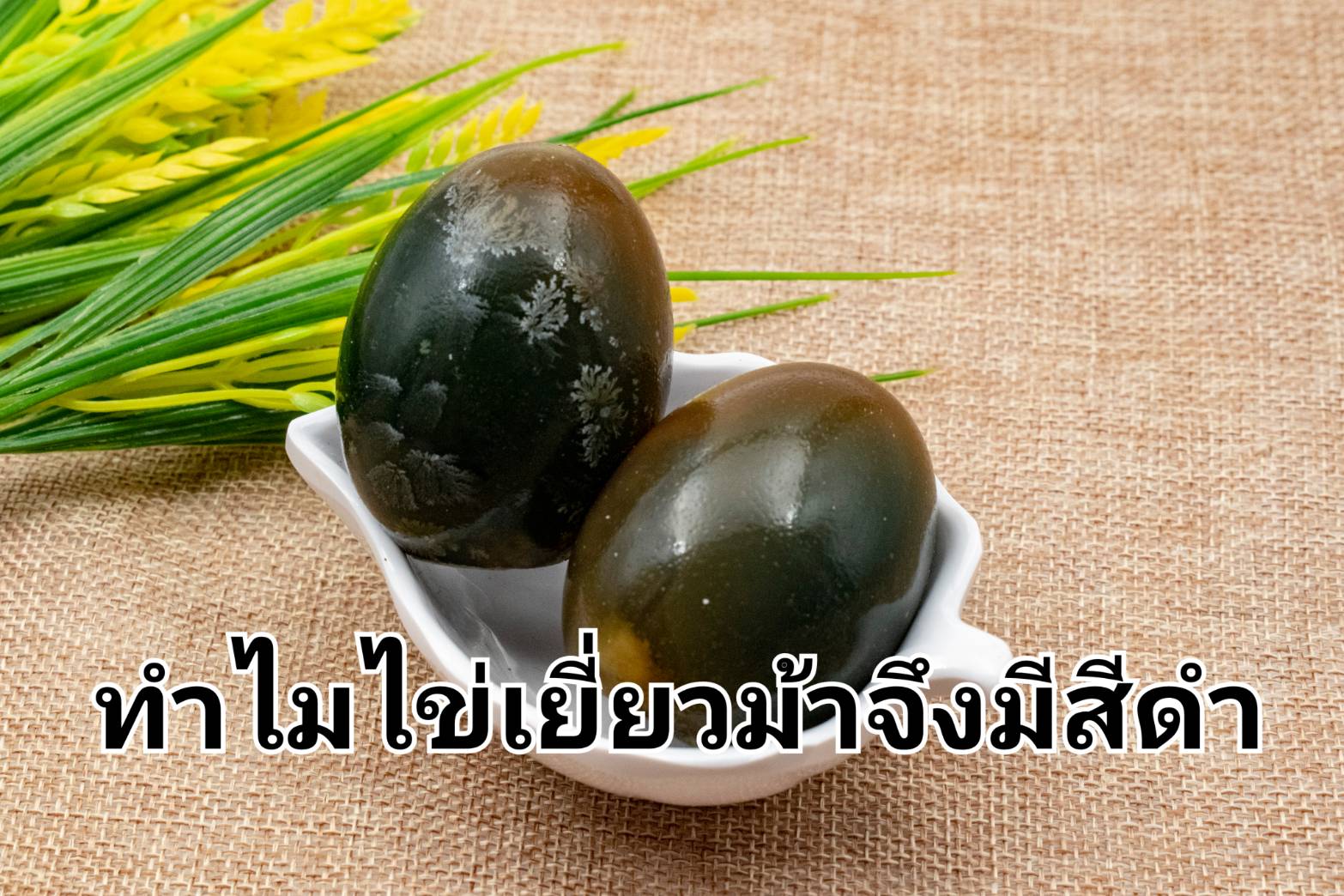 รูปภาพหน้าปก 1d648346-7565-4596-a5d3-5760d938846c