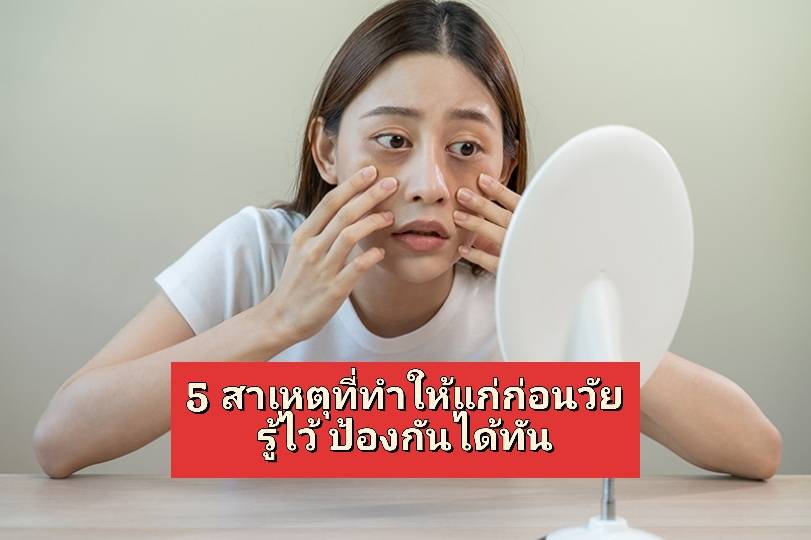 รูปภาพหน้าปก 19df83e3-d4ee-47eb-a4ea-d265bb919d25