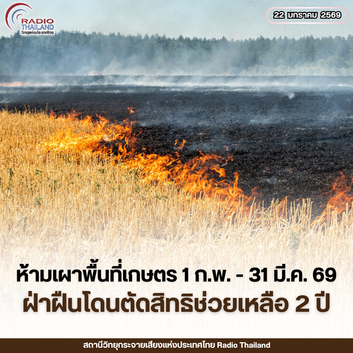 รูปภาพหน้าปก 4c4a0883-8d99-48ea-83bd-a37fb8ef29e1