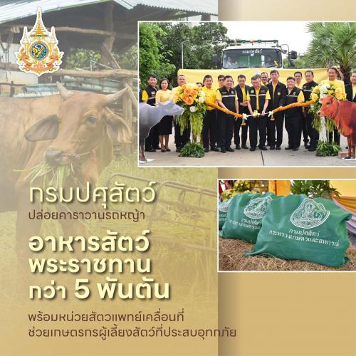 รูปภาพหน้าปก bebc6493-f8b8-4383-bdc2-f40e6fe12c32