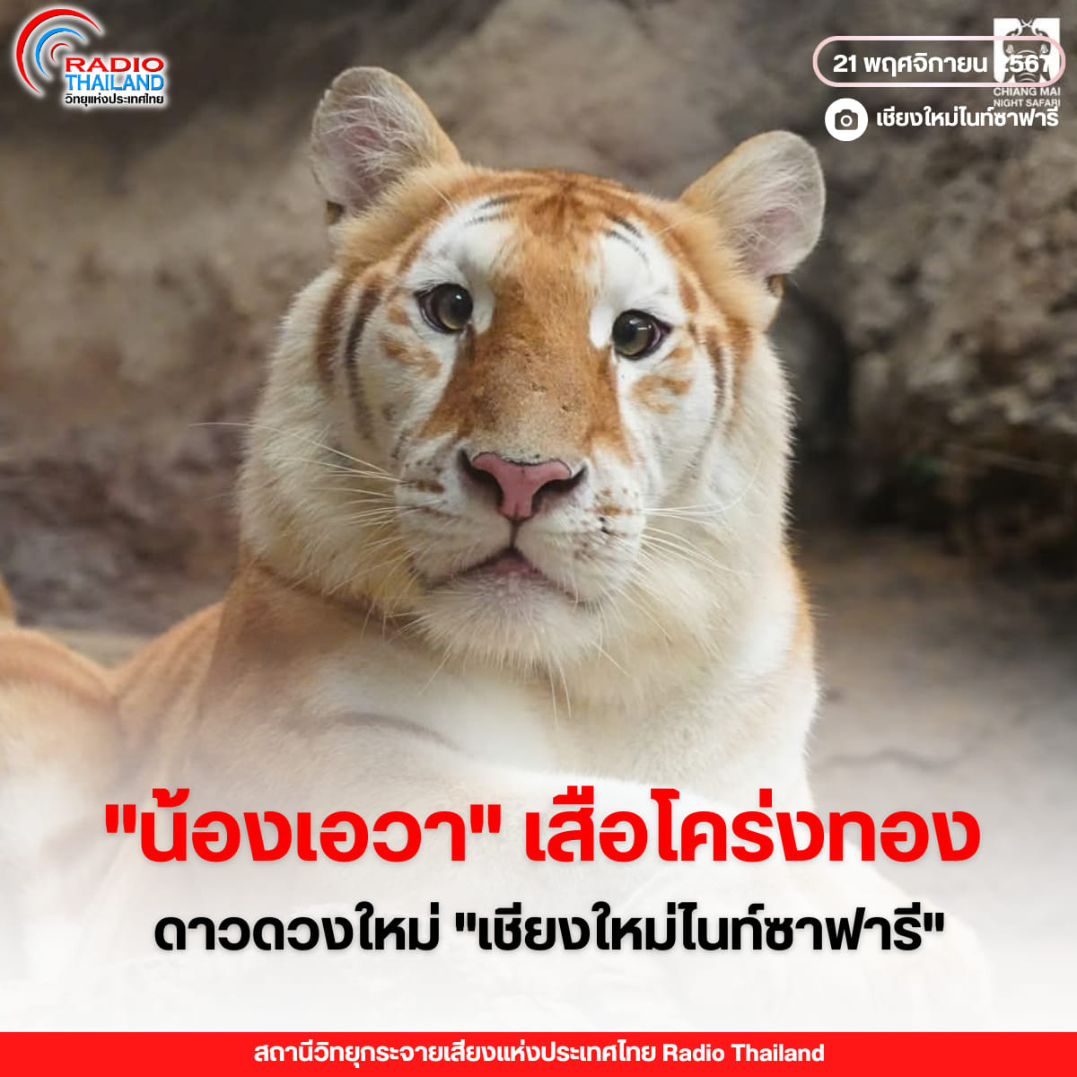 รูปภาพหน้าปก 7214ca69-e632-40e9-adba-6b0c0279b64b