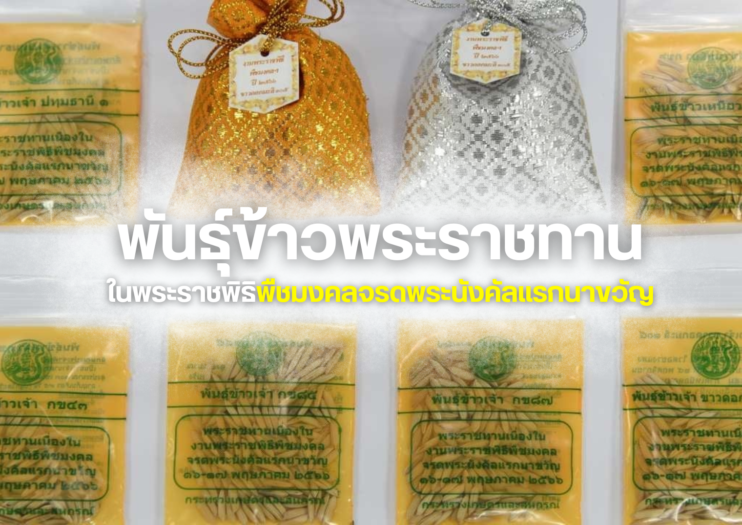 รูปภาพหน้าปก 28359d12-b018-449c-ad94-099560b76d19