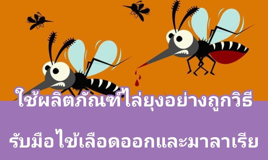 รูปภาพหน้าปก 319d45ee-d102-4386-9e3d-3ea509b78c3d