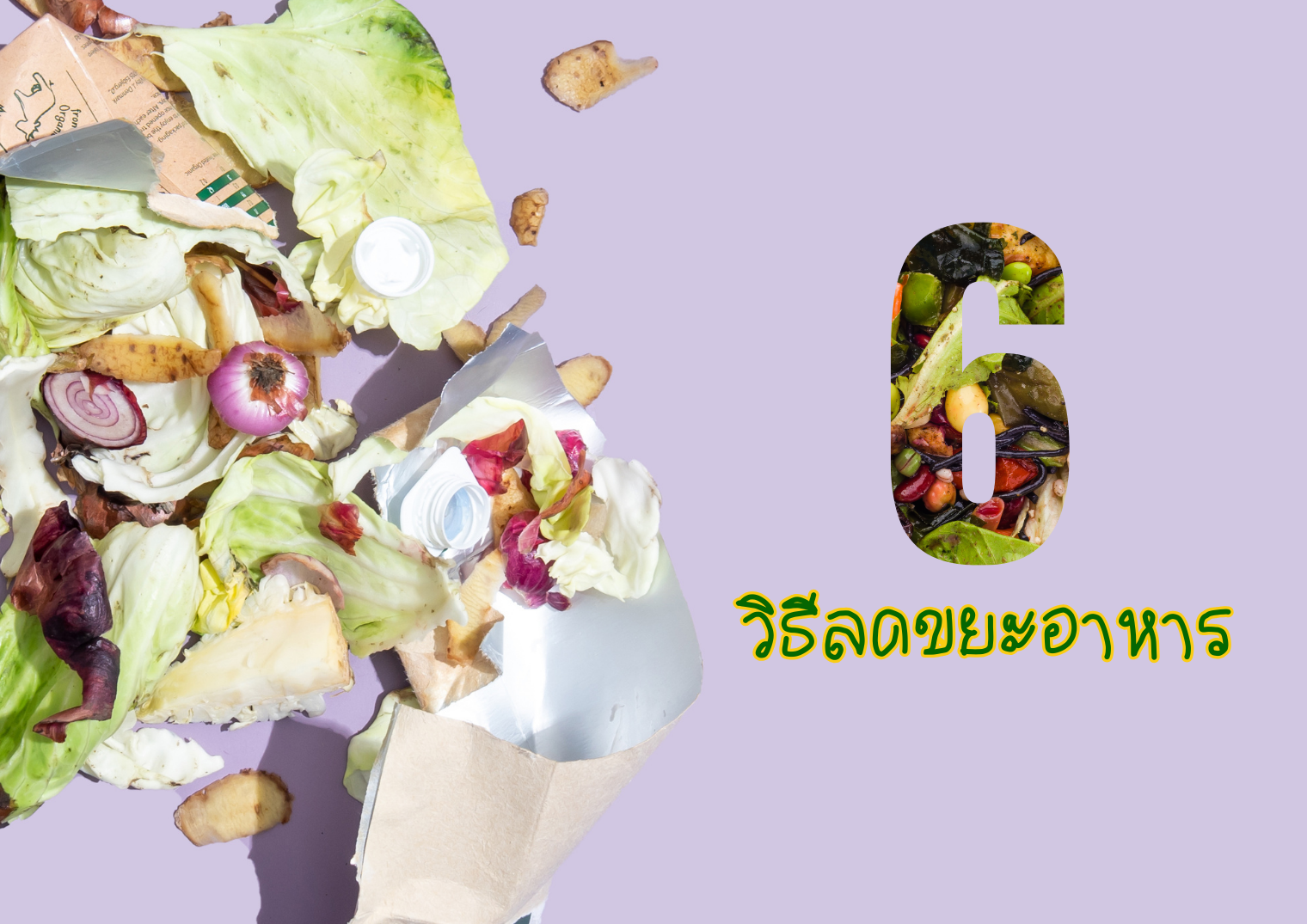 รูปภาพหน้าปก 142c9b50-873f-42d1-91e4-b72ca7ef6c3a