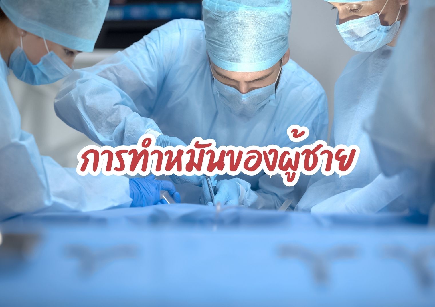 รูปภาพหน้าปก 87fb234b-fa80-4af2-9782-699ae52411d7