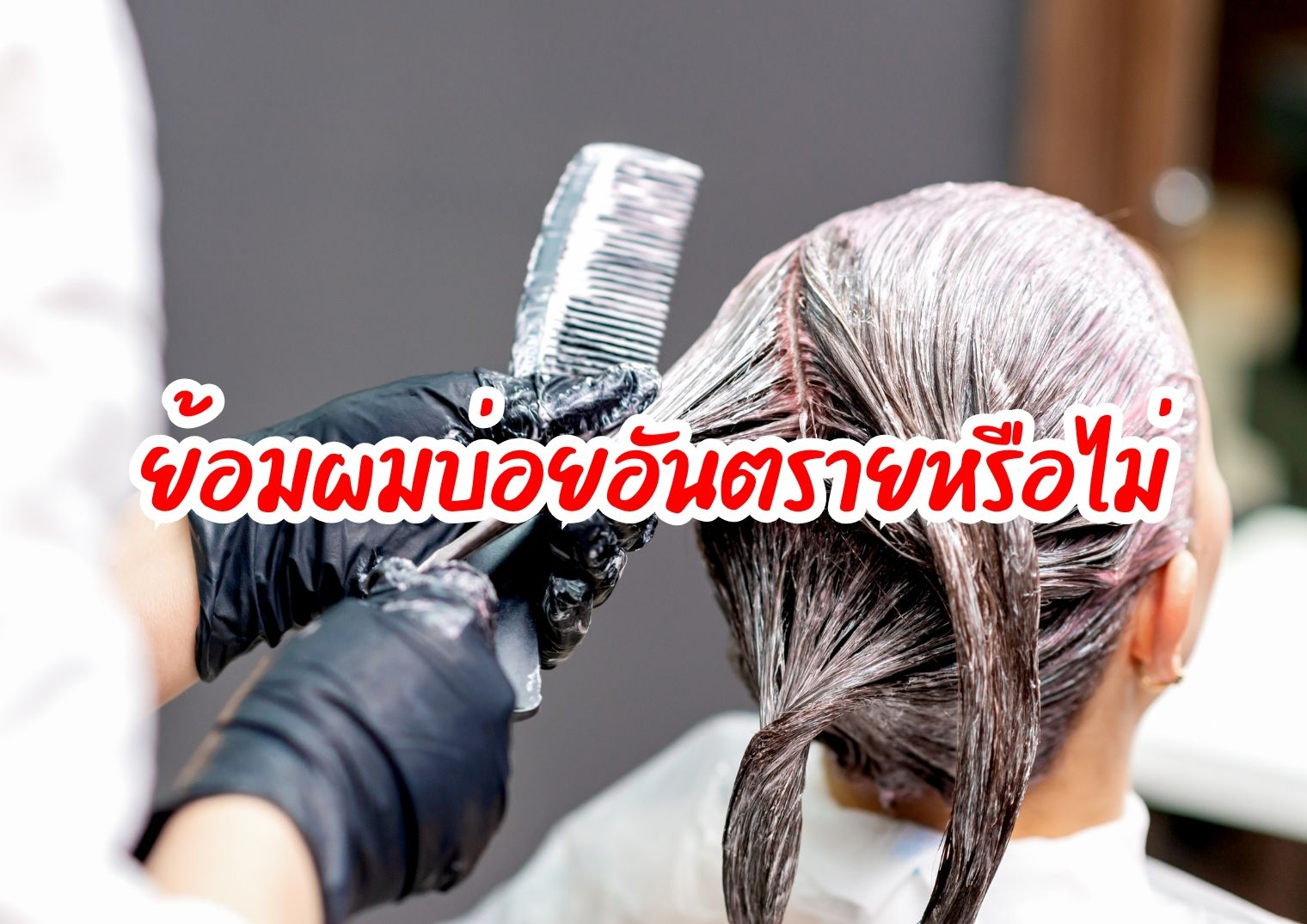 รูปภาพหน้าปก d93e6e66-d398-4678-a34b-dc3e1a46ad38