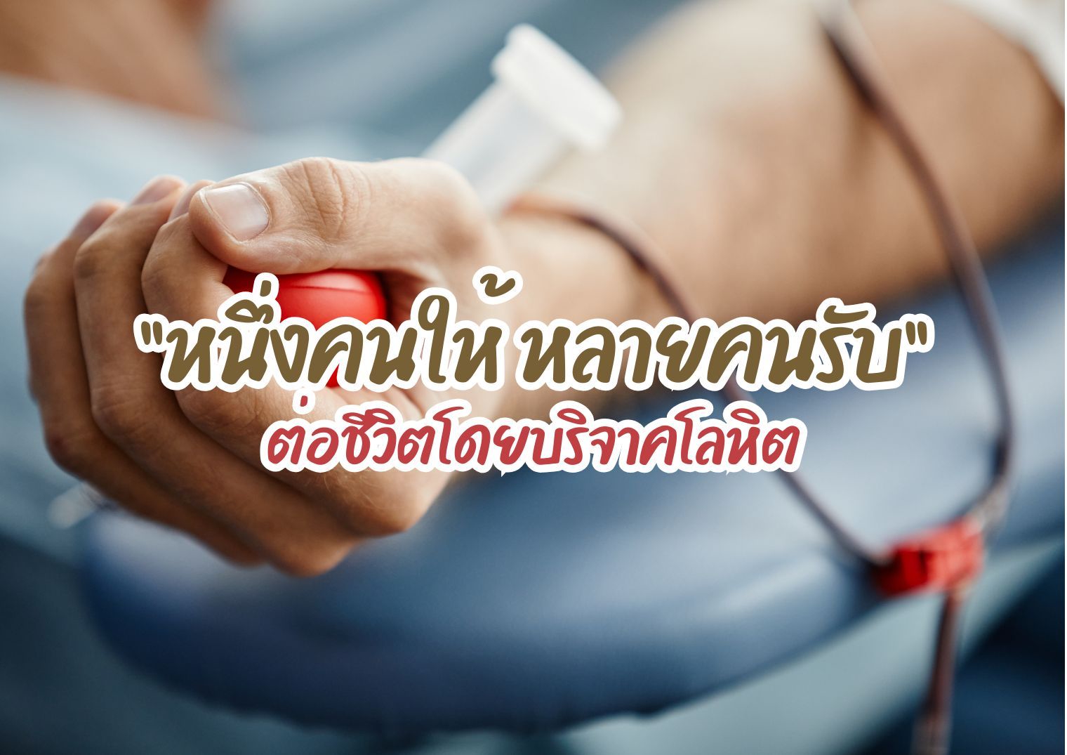 รูปภาพหน้าปก a0611868-ca72-40c7-9e3e-50937ff5038f