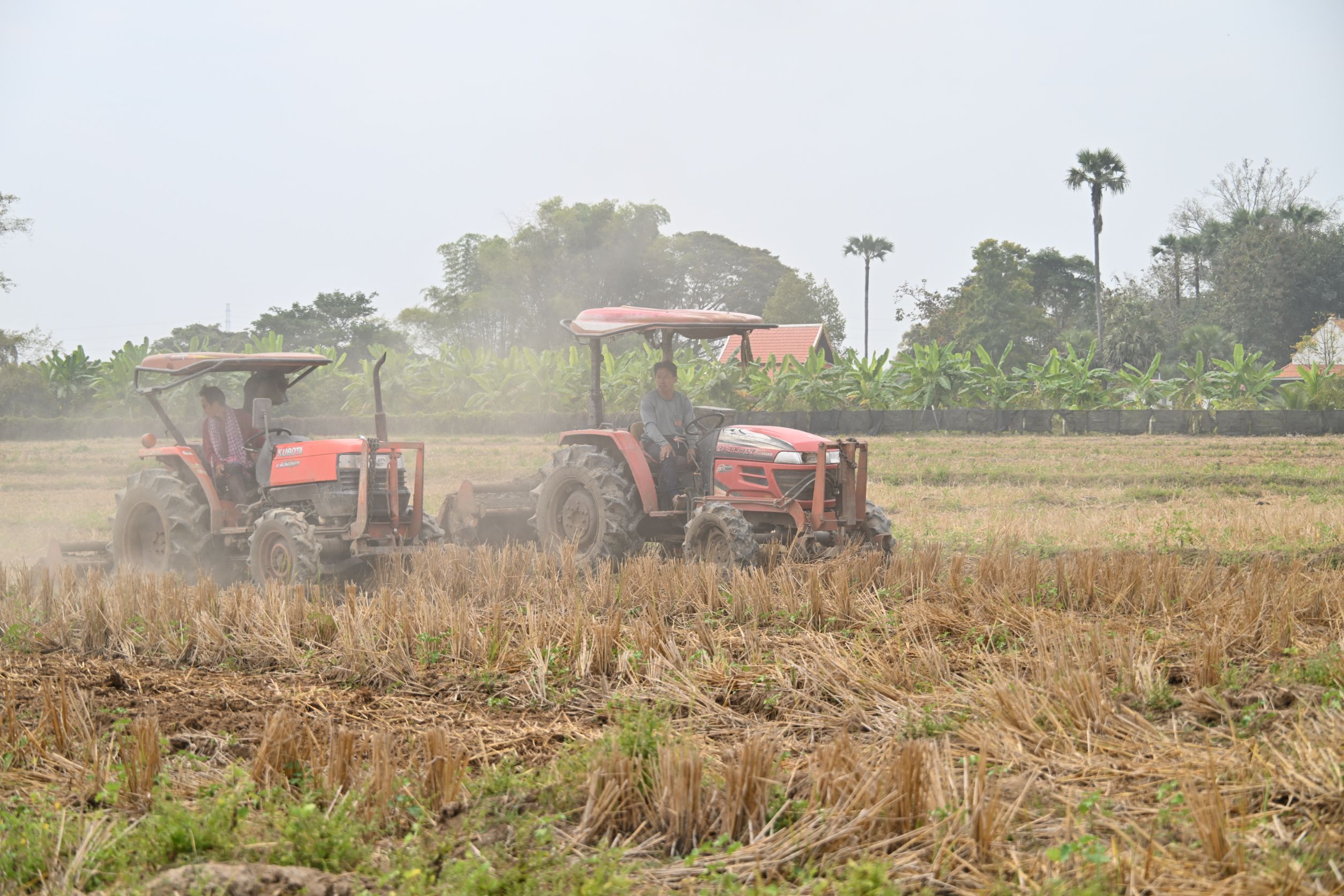รูปภาพหน้าปก 379afd0c-0bfe-46c7-b8f0-689b70a1bce9