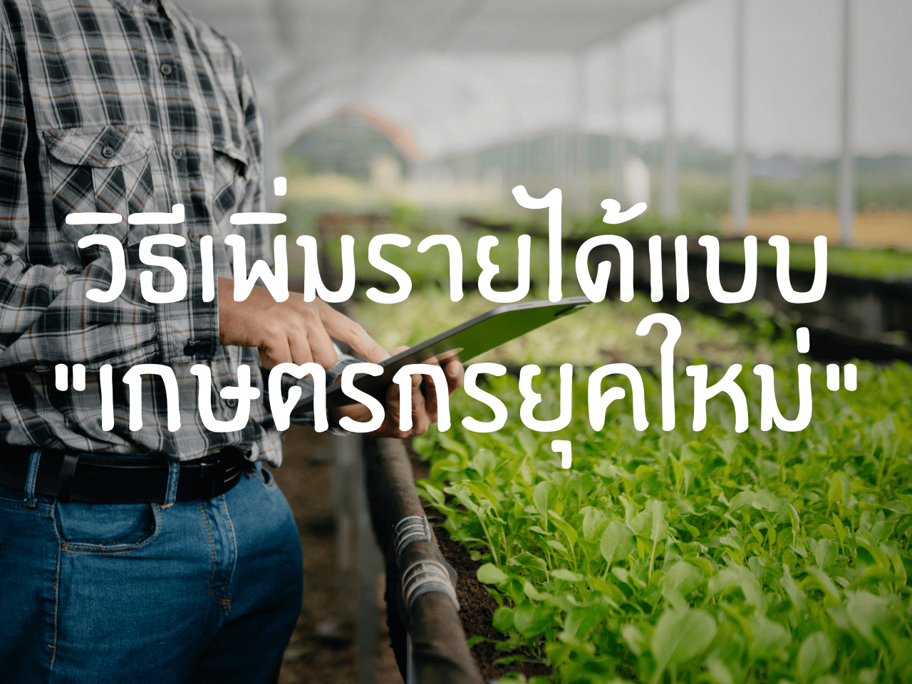 รูปภาพหน้าปก b2ffb12e-9481-46de-b3b1-70a5e882174d