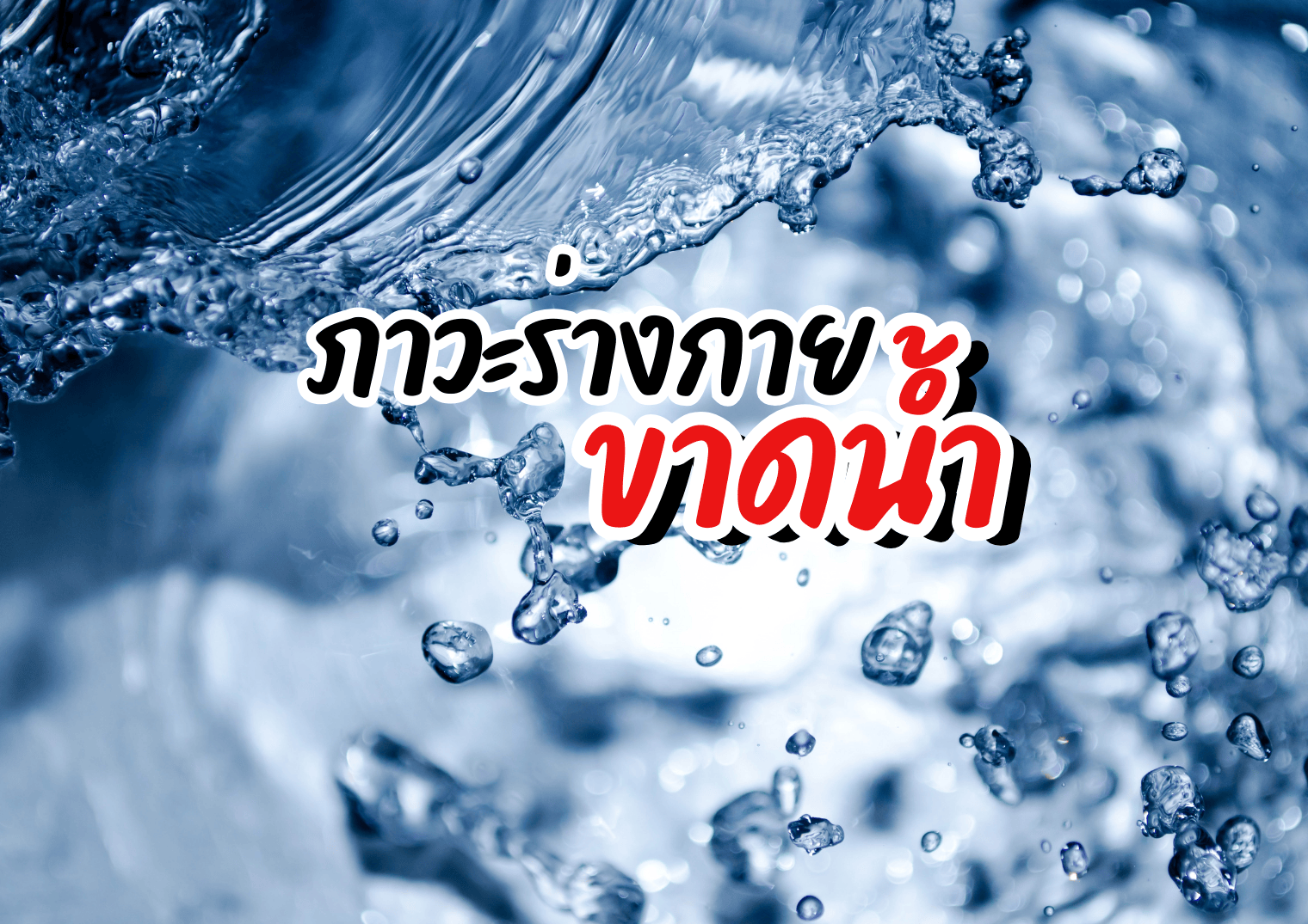 รูปภาพหน้าปก 08ec582a-6406-445b-9cfc-2b1209791564
