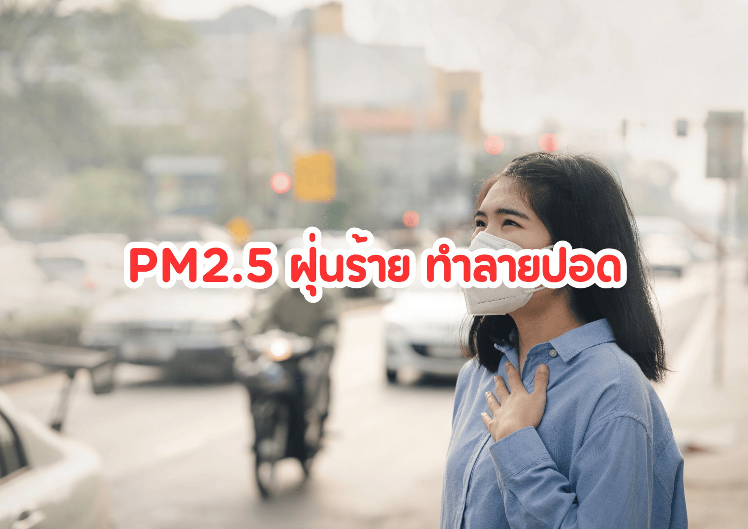 รูปภาพหน้าปก c8eeed5c-5c3d-4668-aff4-7c16257ac278