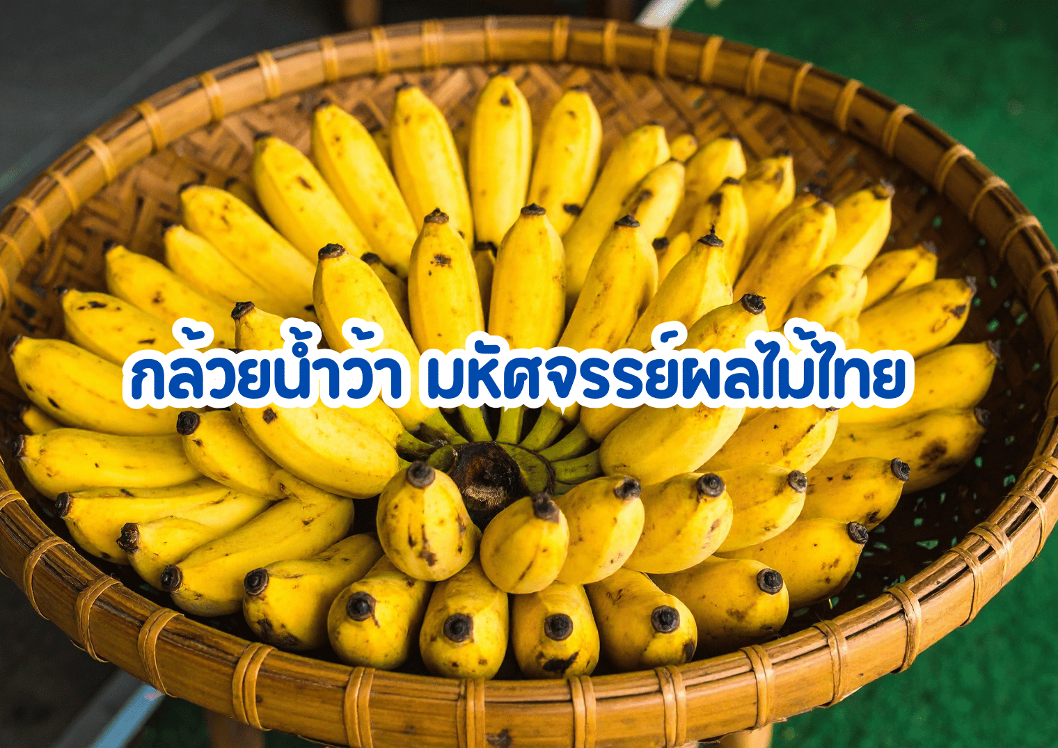 รูปภาพหน้าปก 33c60071-cdf7-46d7-ada1-6dc669bc9afb
