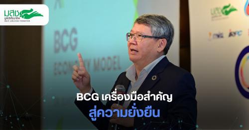 รูปภาพหน้าปก ced33505-a55d-41e6-a586-6e9e093a0d77
