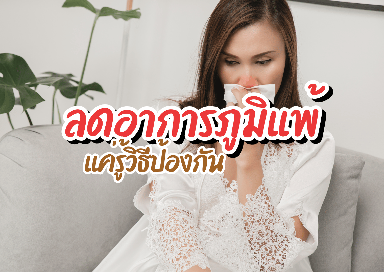 รูปภาพหน้าปก 783737c2-31c7-48c0-b1c9-d7b9b1658df1