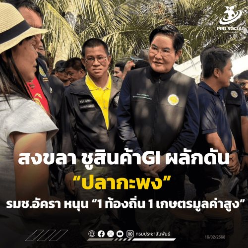 รูปภาพหน้าปก dae9308c-0017-484b-bbb0-dac22b1e61d6