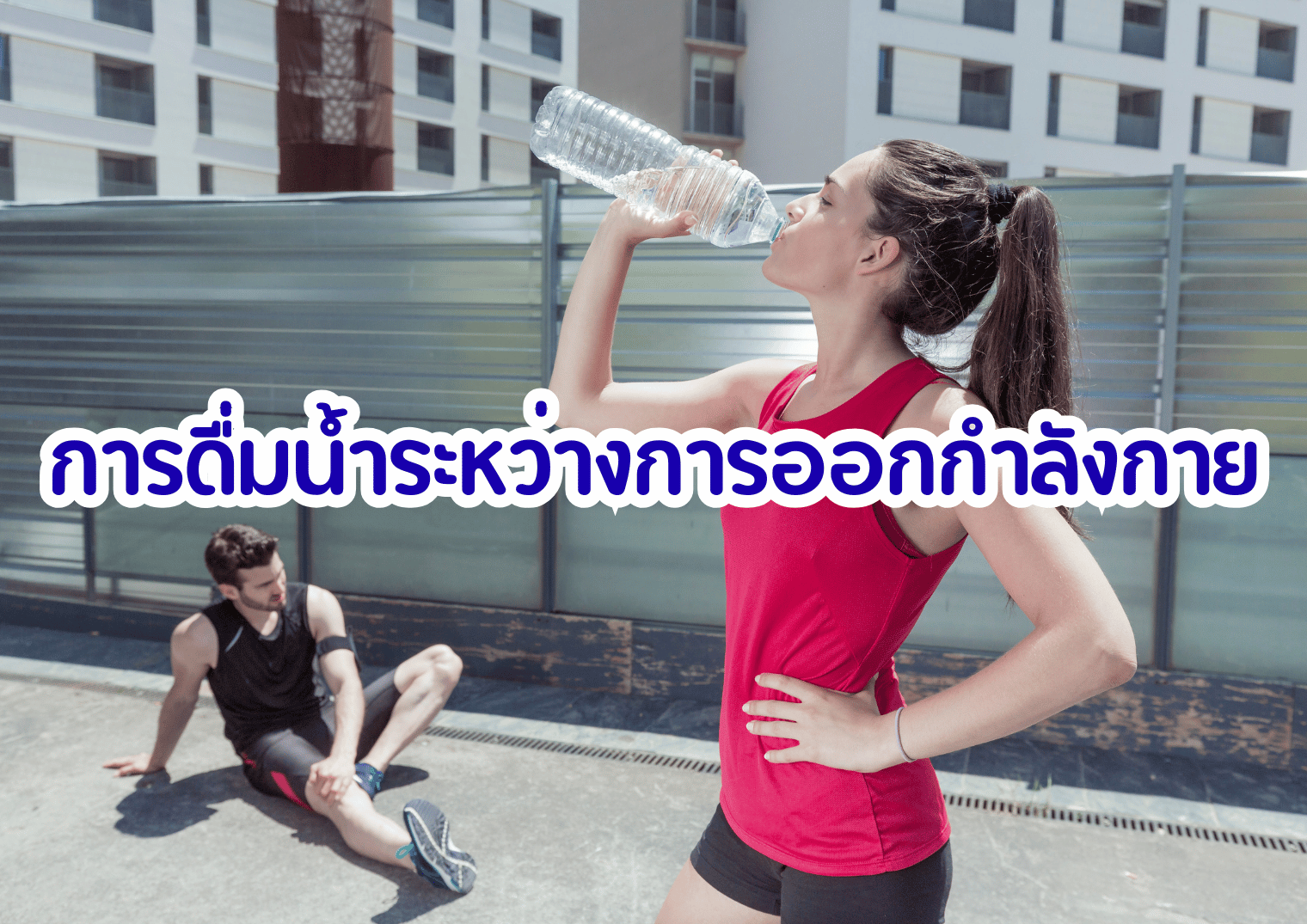 รูปภาพหน้าปก e51d2a31-383c-4d7e-a1e8-67f4cd60e5bd