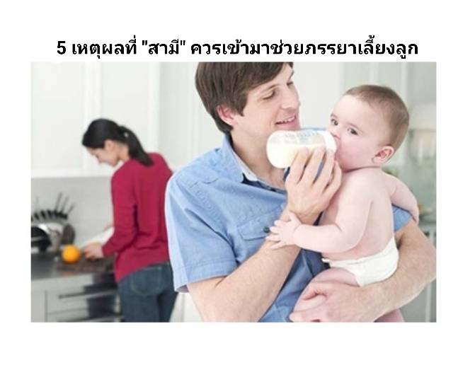 รูปภาพหน้าปก 121b76b0-e60a-41f3-bcbd-7ddc52d78f5d