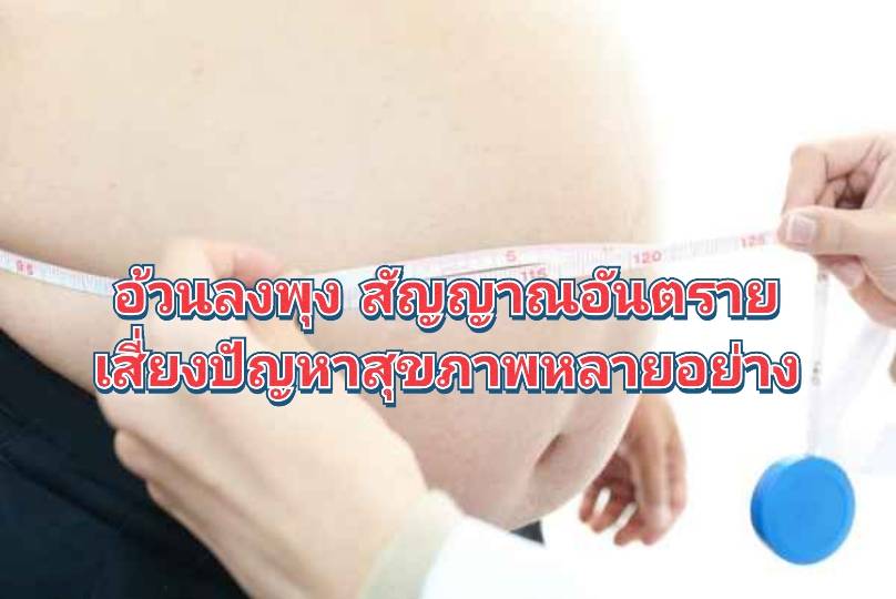 รูปภาพหน้าปก 47578e60-67e8-486f-9d2f-cc2dacb1b34d