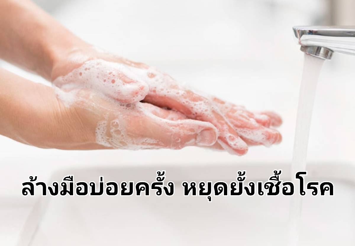รูปภาพหน้าปก 365fca8d-48aa-4ca9-acb4-fd63916cd070