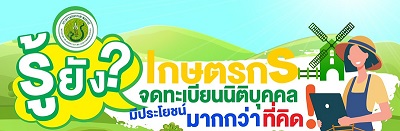 รูปภาพหน้าปก c834e821-ae5f-4e25-8973-1d698eecd0d7