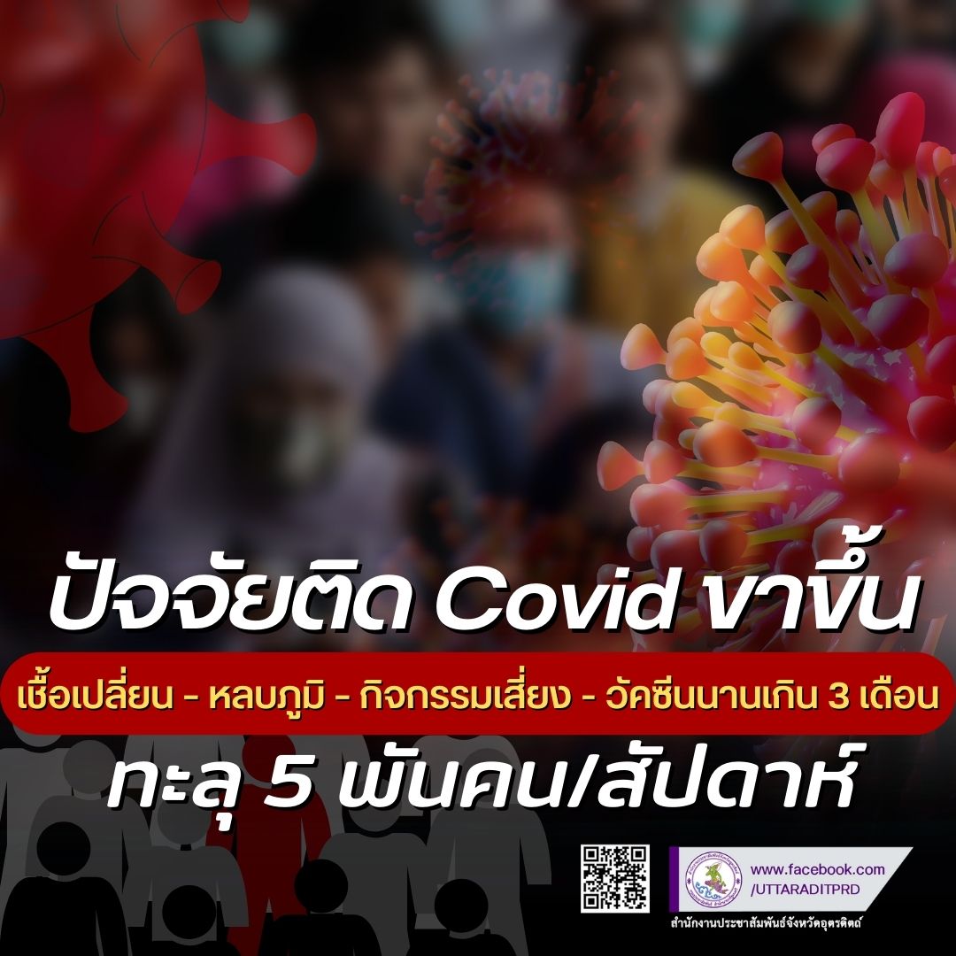 รูปภาพหน้าปก 3643d3a4-e572-472d-829e-1207c1cc78be