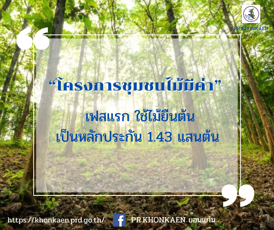 รูปภาพหน้าปก 336b5c72-8ca0-43de-88c9-1b52c9e7a51e