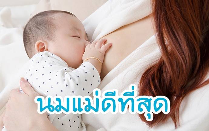รูปภาพหน้าปก 1654eb89-070e-4af5-855a-af7a7b22d419