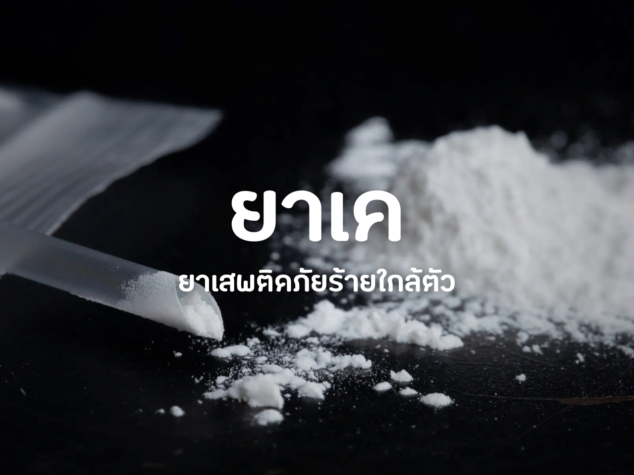 รูปภาพหน้าปก c878ea2a-cf83-4ffb-a8e6-ff000aadbcfe