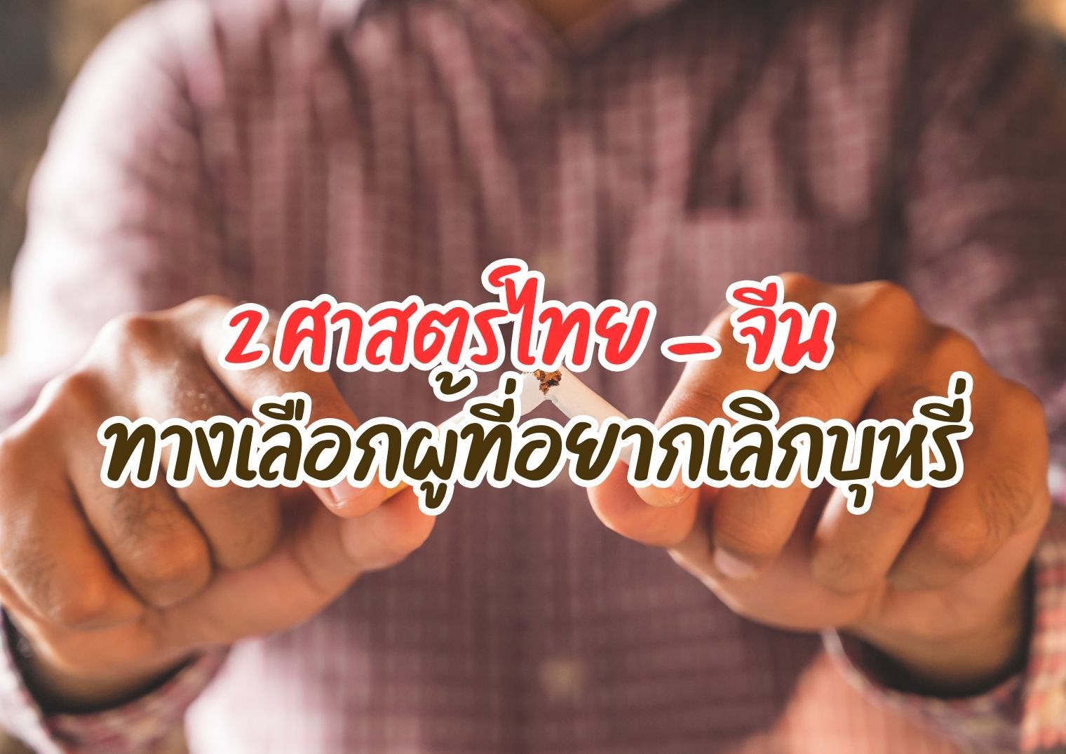 รูปภาพหน้าปก 71898d4a-966a-45a4-b766-51803993b4e5
