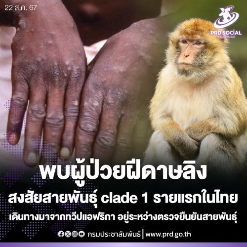 รูปภาพหน้าปก 37519ff3-f92c-46ac-8d16-1697674daa14