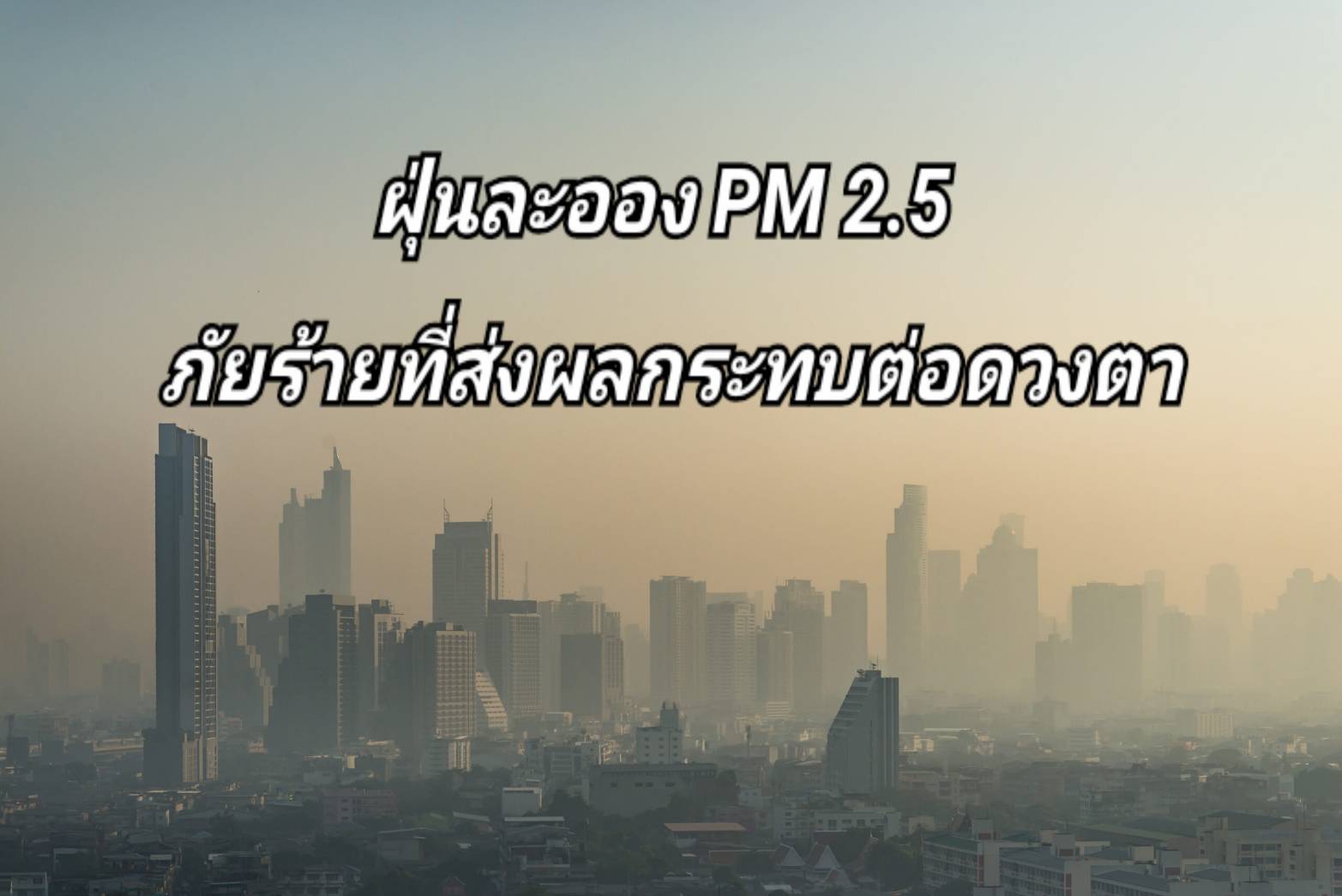 รูปภาพหน้าปก 538e1fbe-80b0-4e63-8e29-809c07939a59