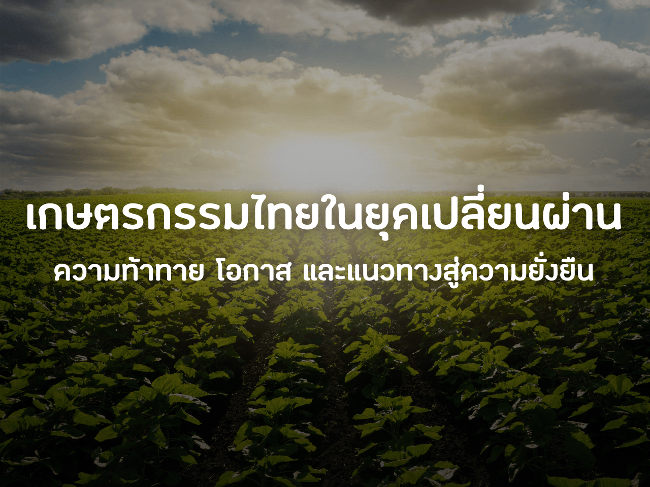 รูปภาพหน้าปก ad2bfdcb-afea-4265-b714-c753f5d655b5