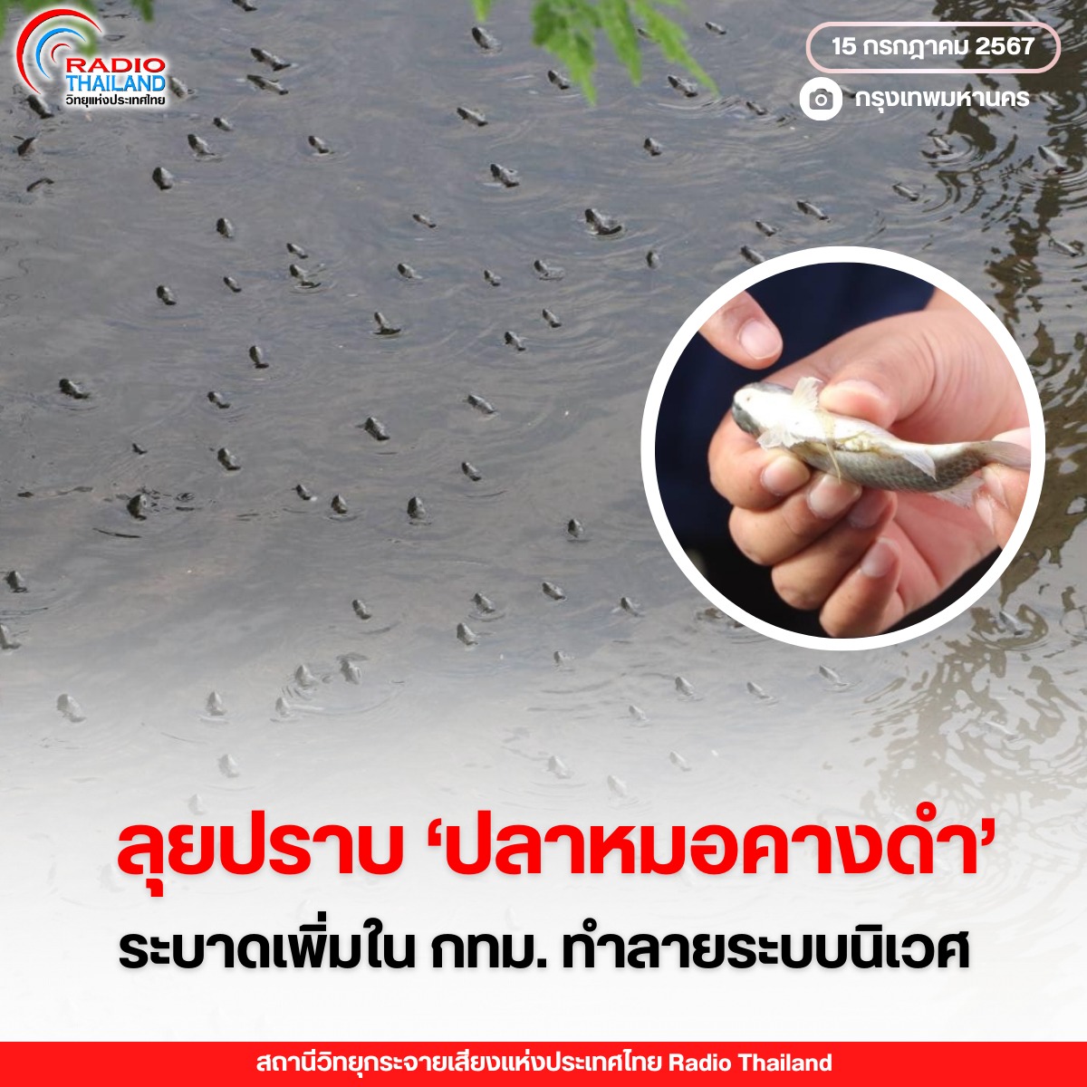 รูปภาพหน้าปก df36cb9a-001f-4400-8d60-00644fa2285b