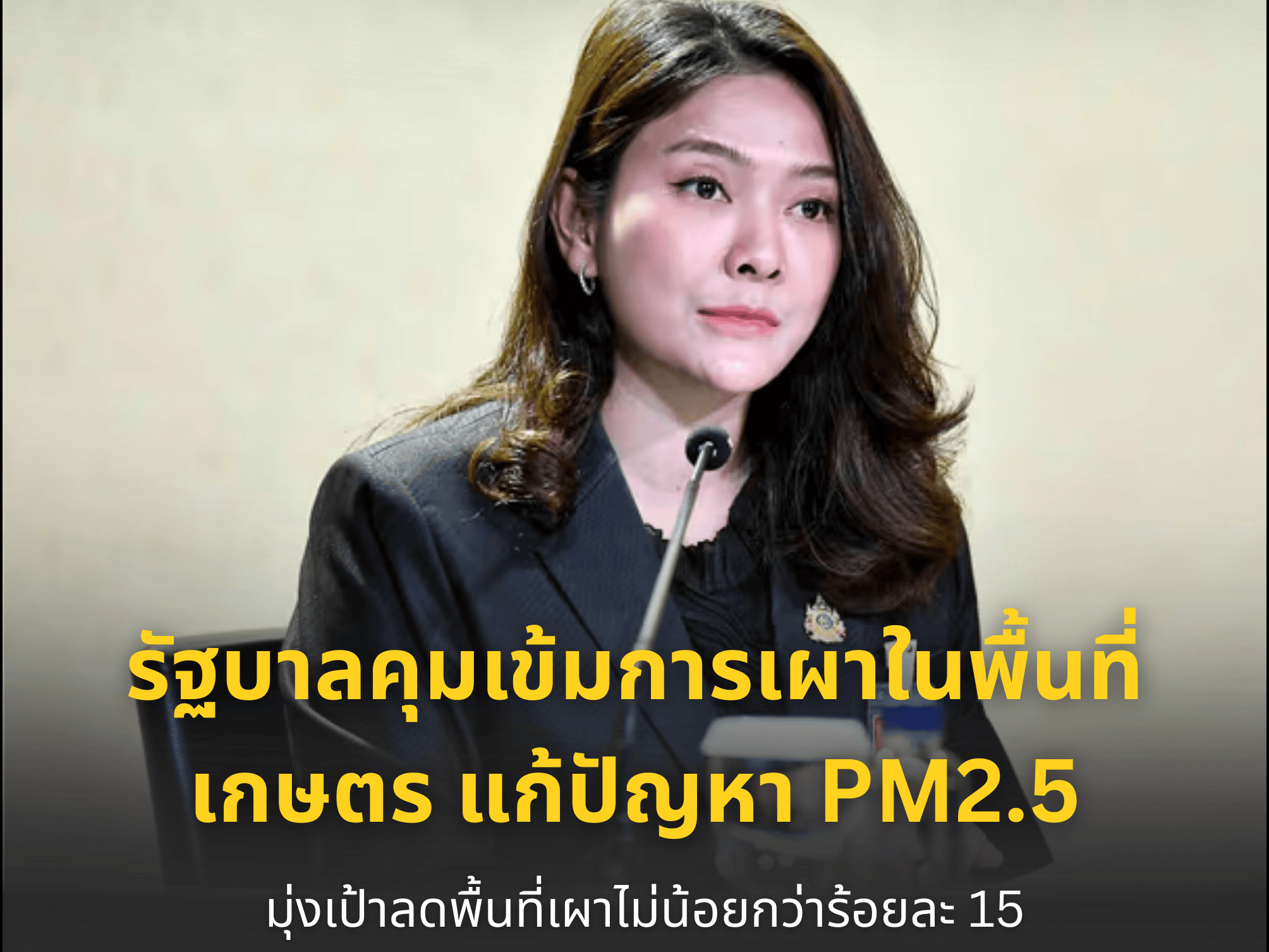 รูปภาพหน้าปก c9ddfabe-d40c-4619-933a-747cd1f5b4ed
