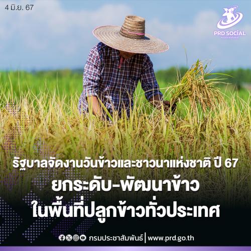 รูปภาพหน้าปก 577c94cb-74d8-4d27-8b54-a9e8bed01213