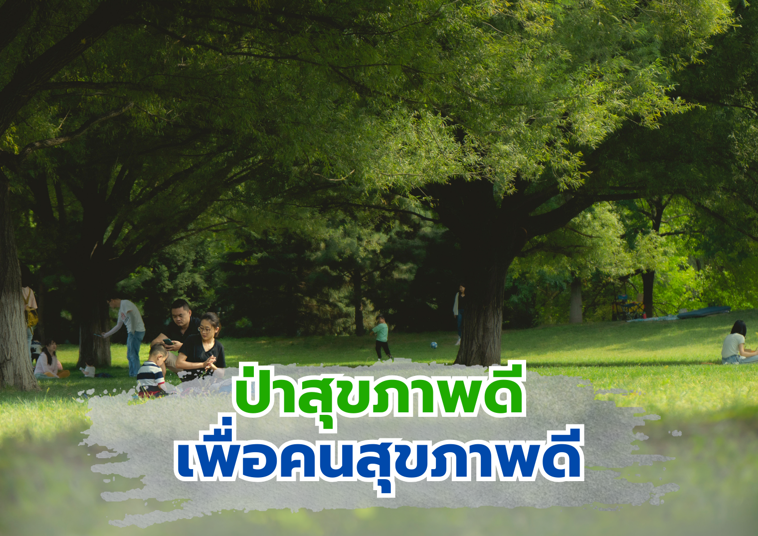 รูปภาพหน้าปก af6aadbf-286e-4873-a88c-297a31ba7eb3