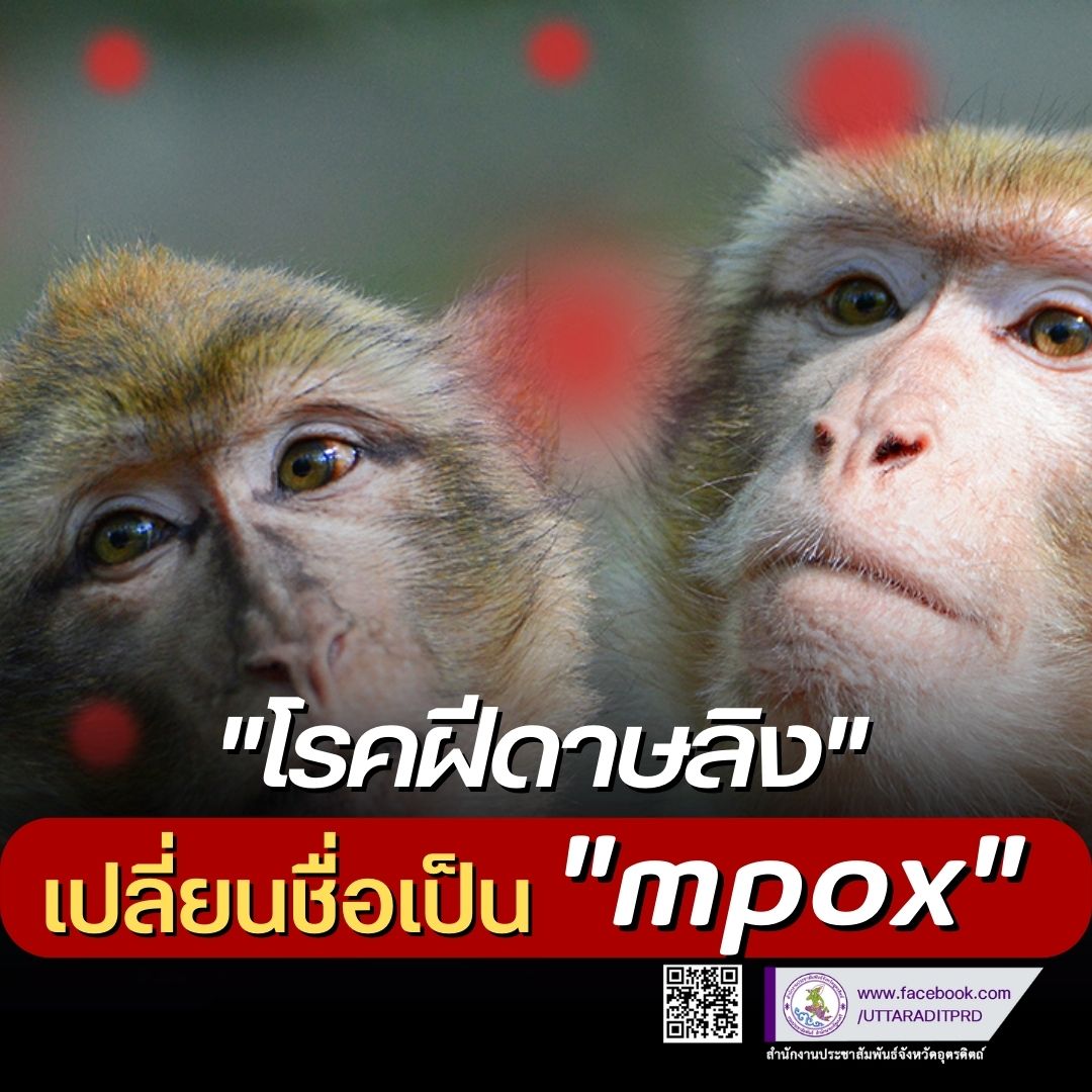 รูปภาพหน้าปก bf4c5378-e4a1-4407-8802-df390b8f0775