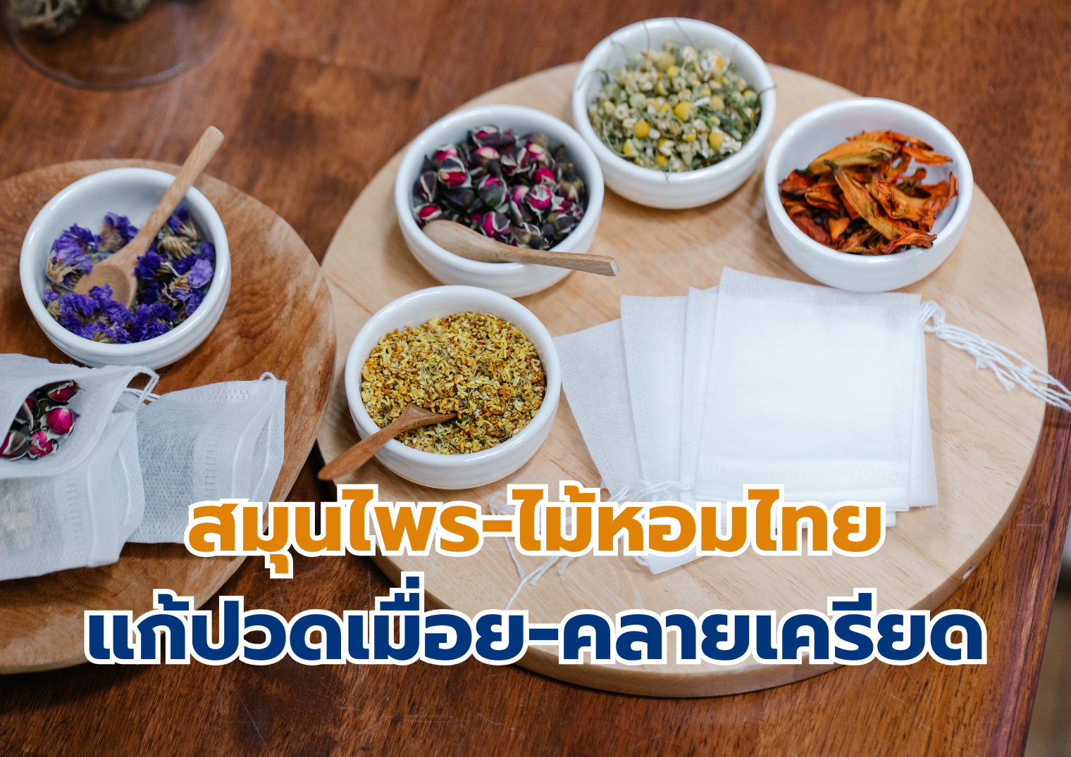รูปภาพหน้าปก 8492b513-1f24-4e13-870b-45dd29f8b5d2