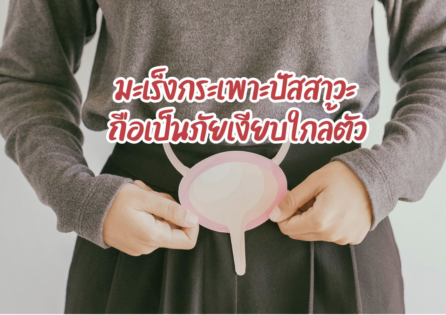 รูปภาพหน้าปก 3ab4aecd-39ce-4b85-9f2a-df1ba46f6d1e