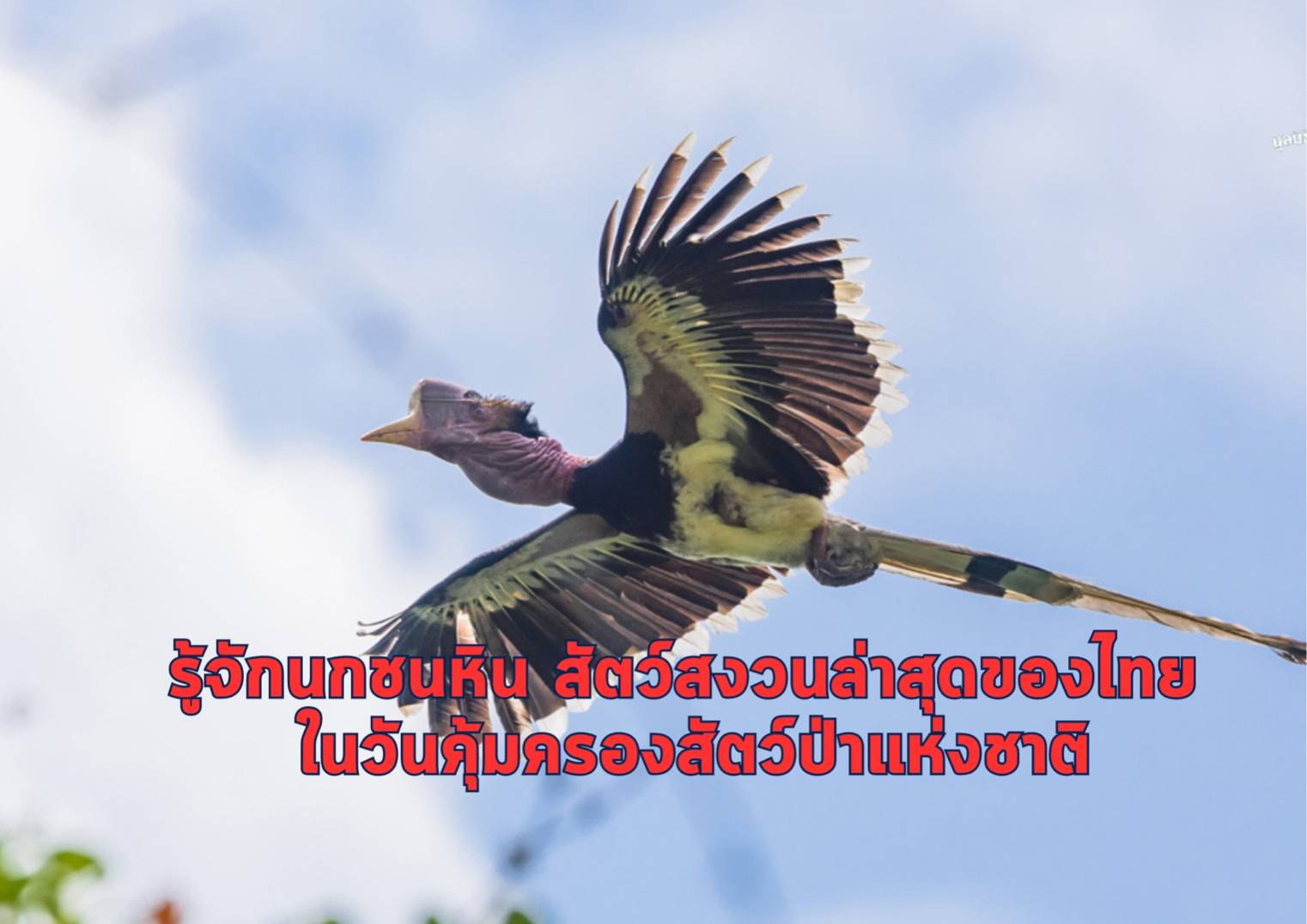 รูปภาพหน้าปก 2dc2cc2b-4ae8-4f24-8a09-263c812bf5df