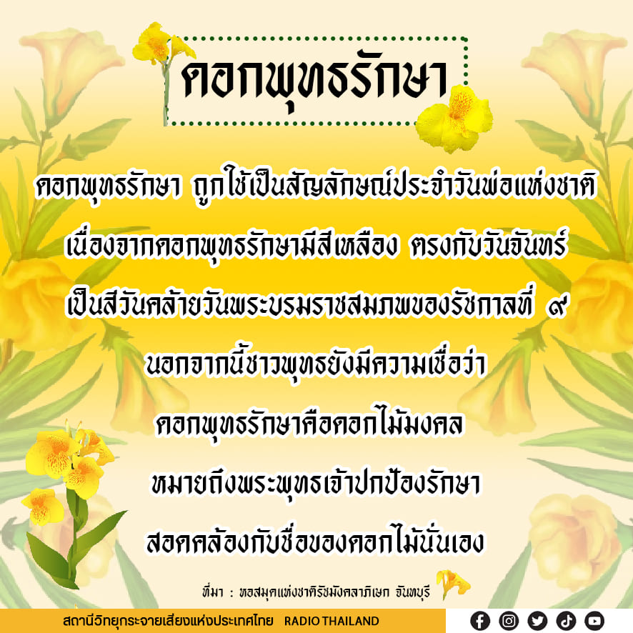 รูปภาพหน้าปก cc2e5947-8fe5-4c0a-98b9-3b3c229ae344