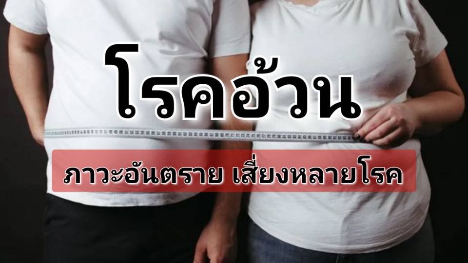 รูปภาพหน้าปก 7eace94c-81af-4c3f-a1e8-4b6edb199f1b