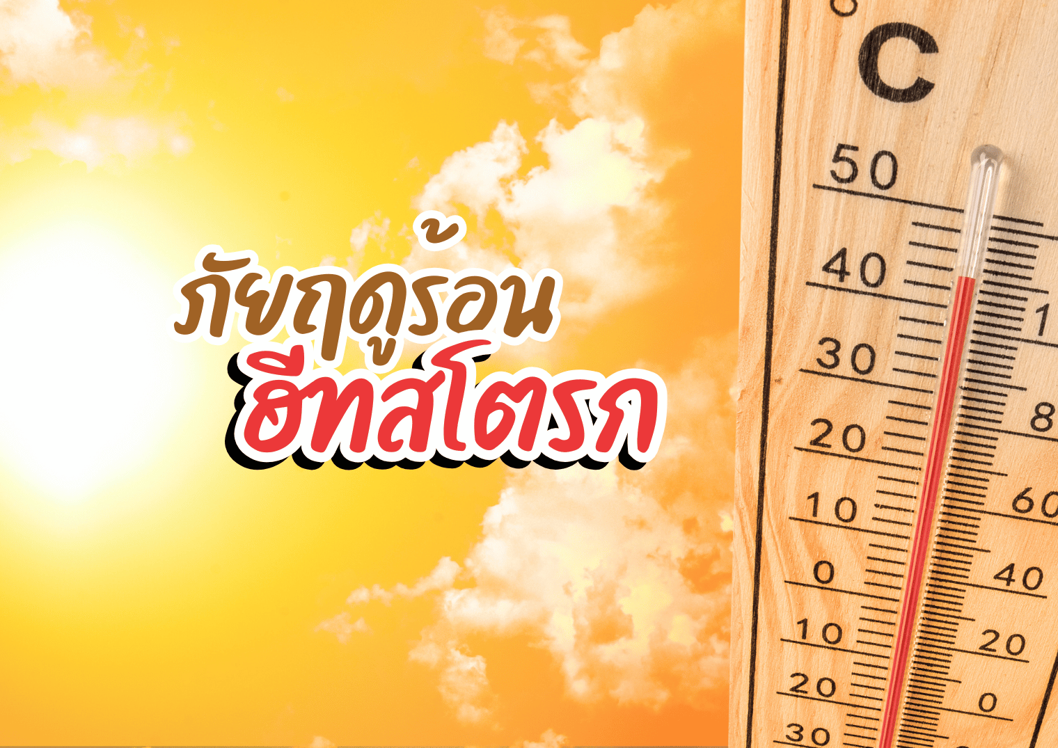 รูปภาพหน้าปก d46a37e6-6511-4d59-a2ce-12663d9d5c75