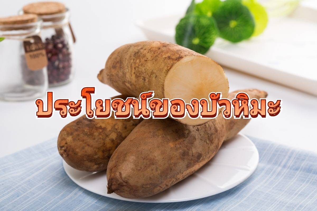 รูปภาพหน้าปก 7ae0dbb0-7d1e-4114-b928-74f5aa825e95