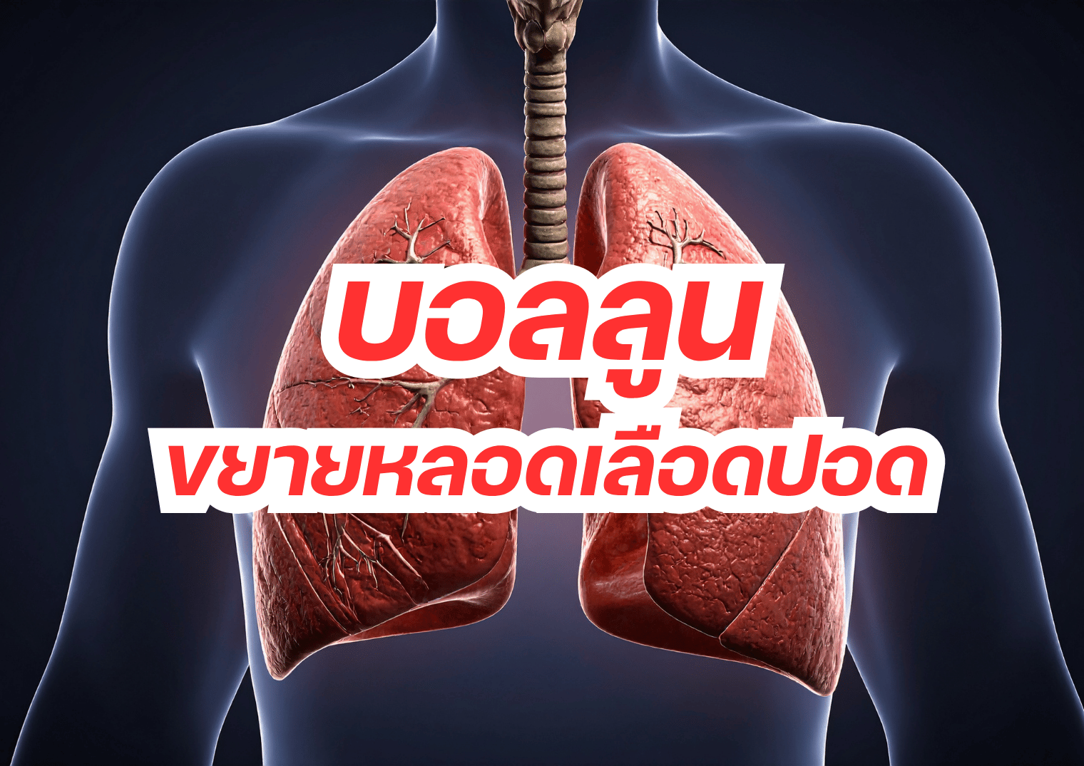 รูปภาพหน้าปก 4dcfc899-bf01-4c77-84d6-a6c2f025abea