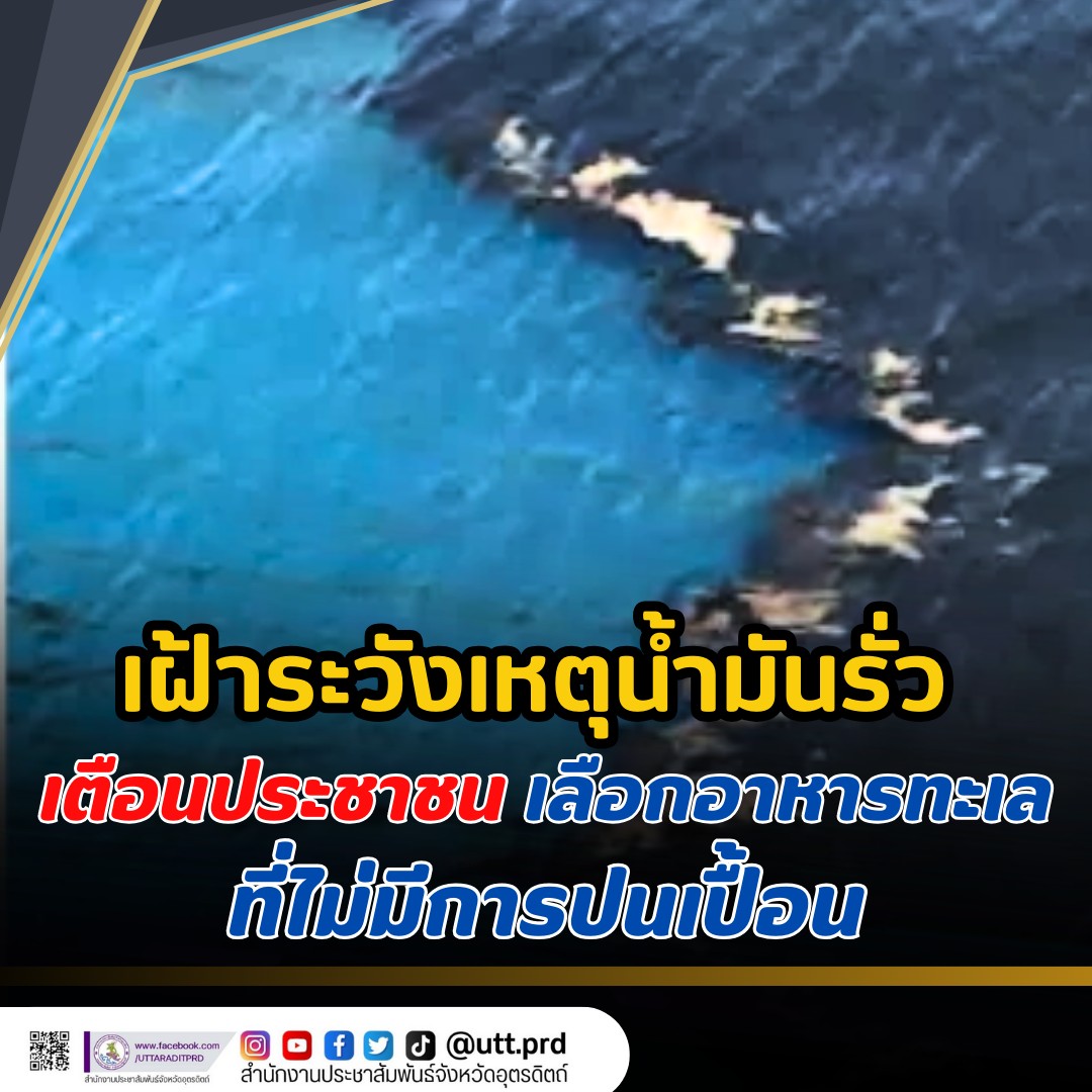 รูปภาพหน้าปก abb084c9-f548-40ec-a729-b34c407dc224