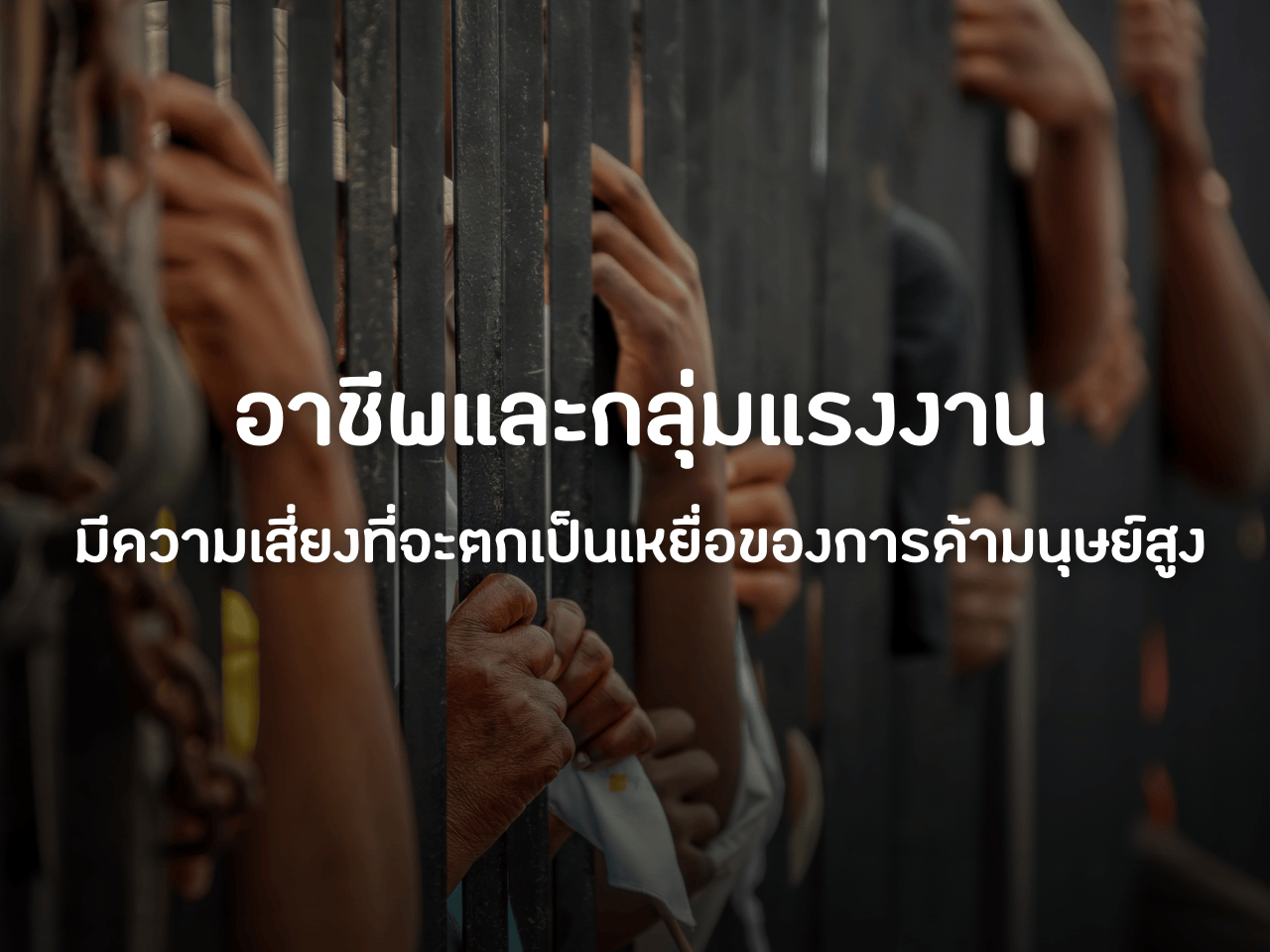 รูปภาพหน้าปก 7a0f7193-3915-47cf-8a49-60e7f62c2e86