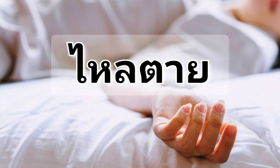 รูปภาพหน้าปก 14e7226a-c70f-4038-a17d-da32dcb1bc9f